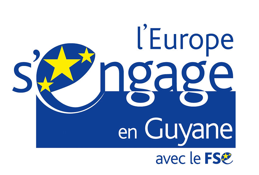 Logo - FSE Guyane